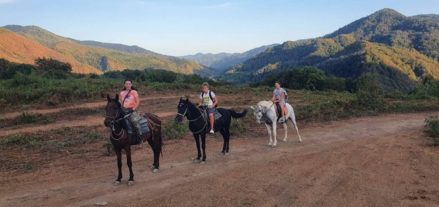 konnie-progulki10 Конный клуб