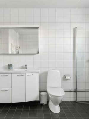 Зарабатывайте с нашей партнерской программой в категории Сантехника