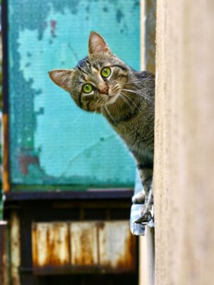 Поиск в труднодоступных местах